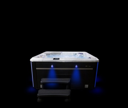 Гидромассажный спа бассейн Hydropool Self Cleaning 670 Gold Гидромассажный спа бассейн Hydropool Self Cleaning 670 Gold